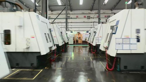 視頻丨乳山 一攬子政策提振企業(yè)信心 助推經(jīng)濟(jì)高質(zhì)量發(fā)展