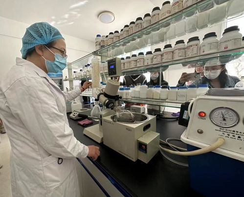 寧夏化妝品風(fēng)靡俄羅斯市場(chǎng)，新型汽輪機(jī)研發(fā)與銷(xiāo)售齊頭并進(jìn)